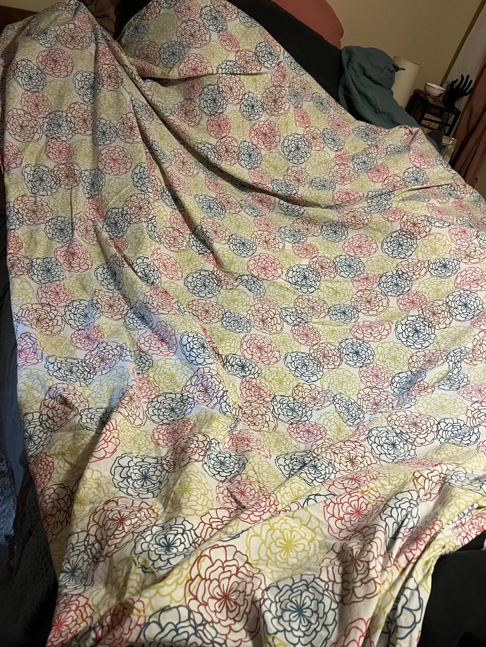 LOFT ~ Multicolor Floral 💯 Cotton Bedding ~ 6 Pieces